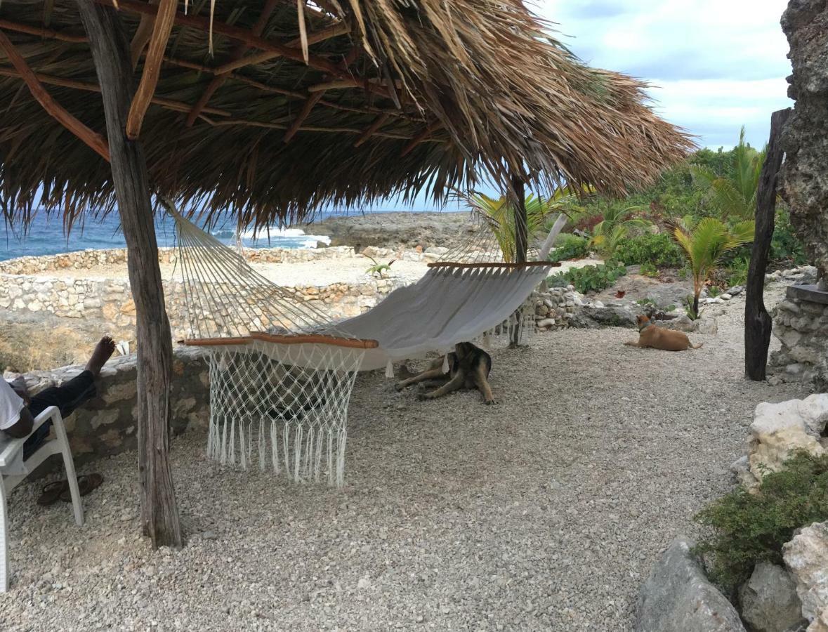 Forever Cottage Robins Bay Exterior photo